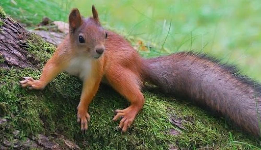 Фото ілюстративне