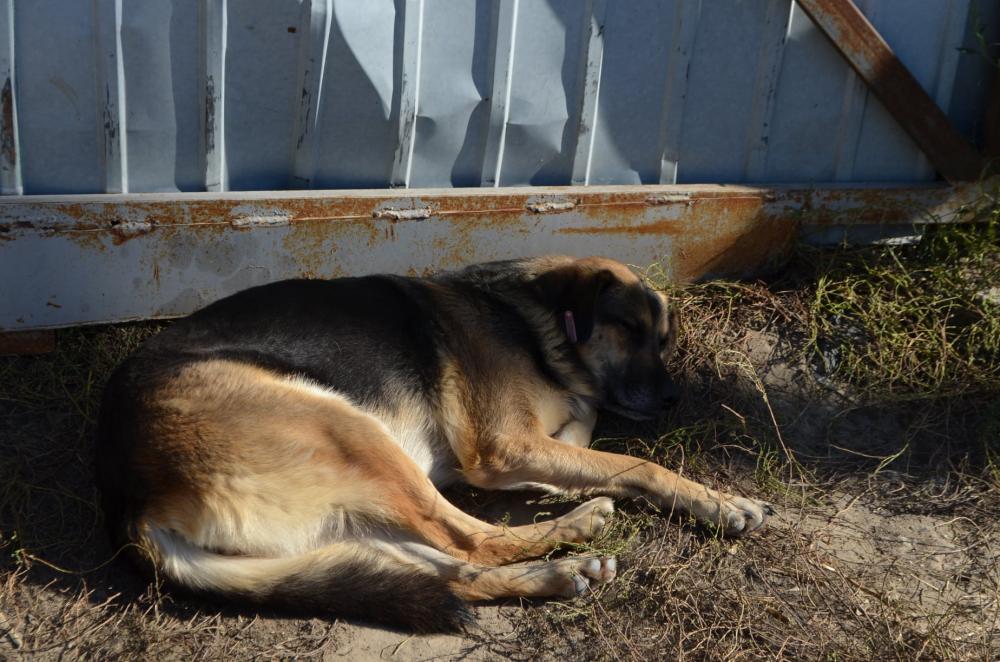 Всі фото надані інформаційною службою КАТП 1728