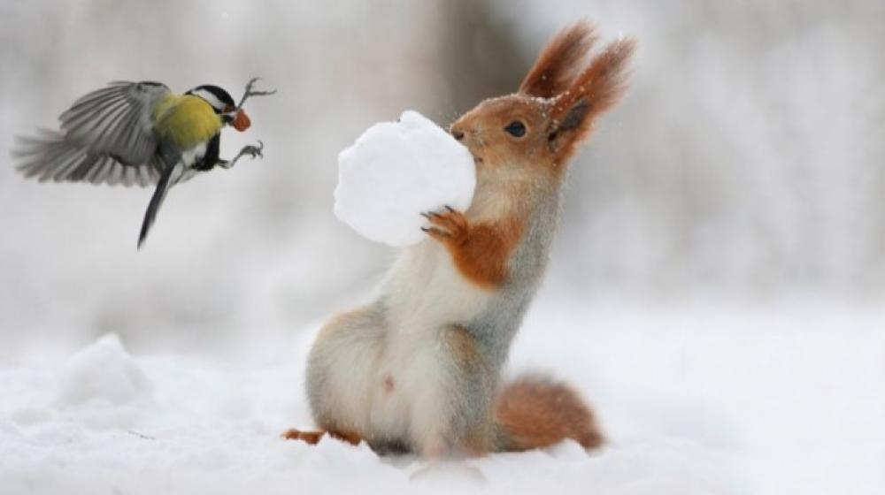 Фото ілюстративне