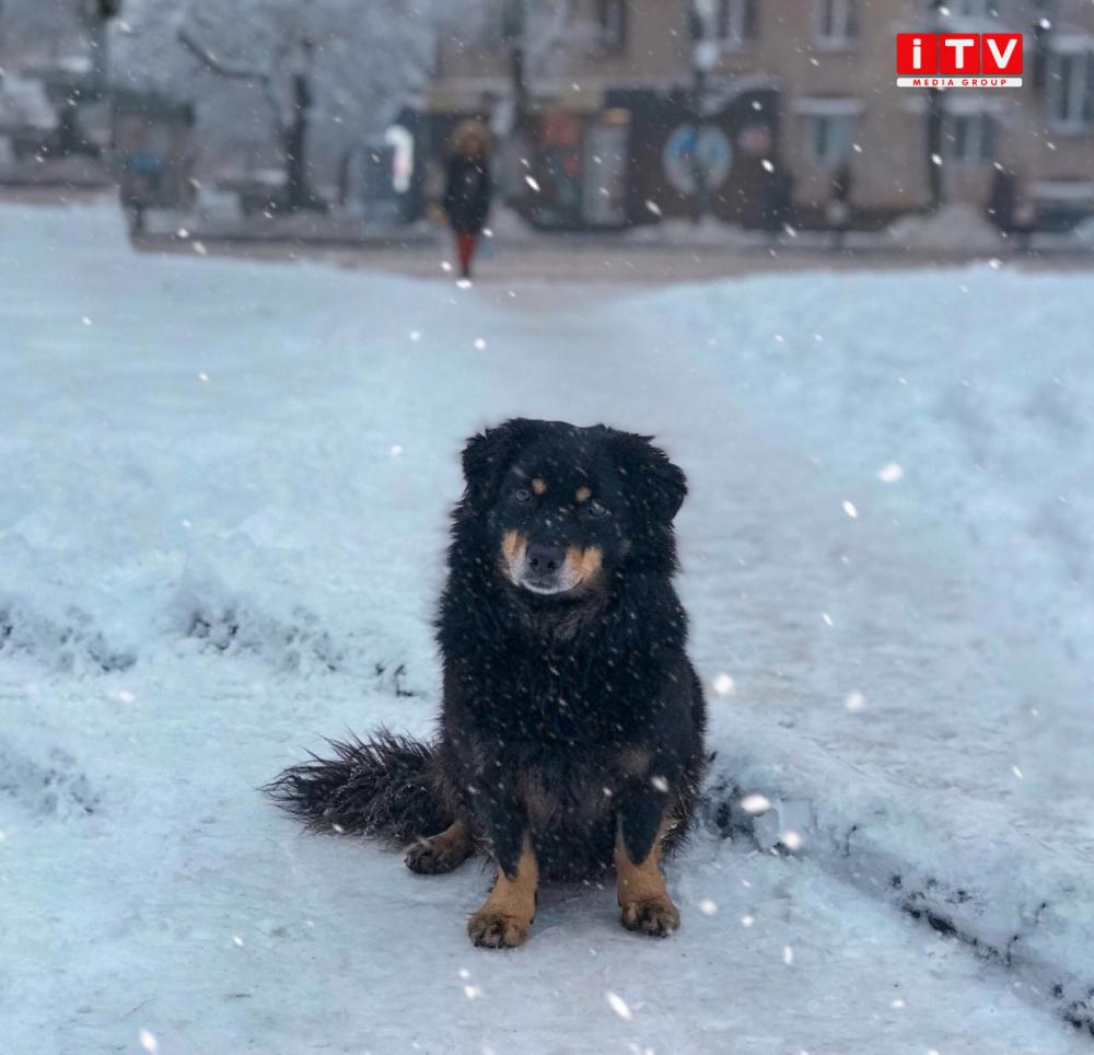 Фото ілюстративне