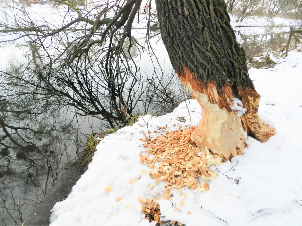 Фото з Facebook Василя Ільчука