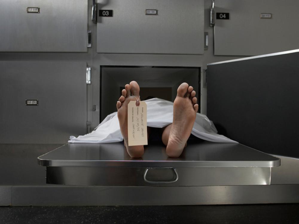 Фото ілюстративне