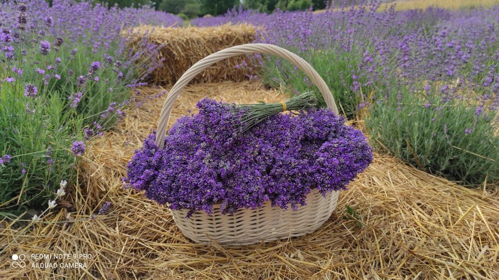 фото:  Анна Капітула