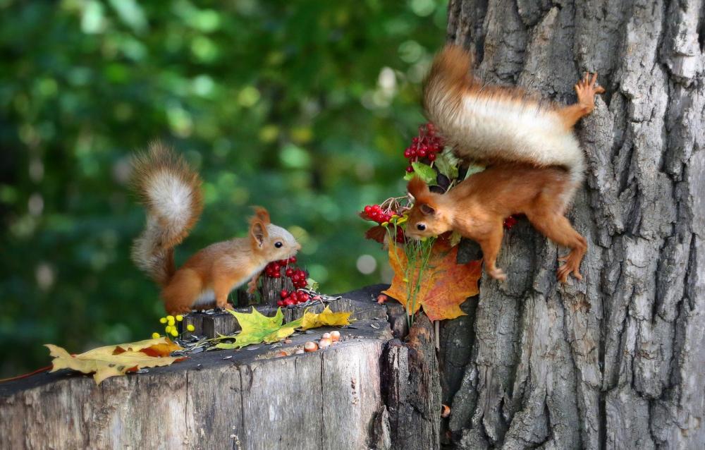 Фото ілюстративне
