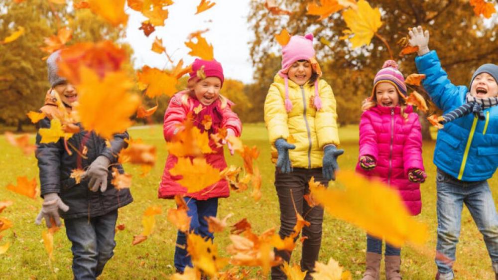Ілюстративне зображення 