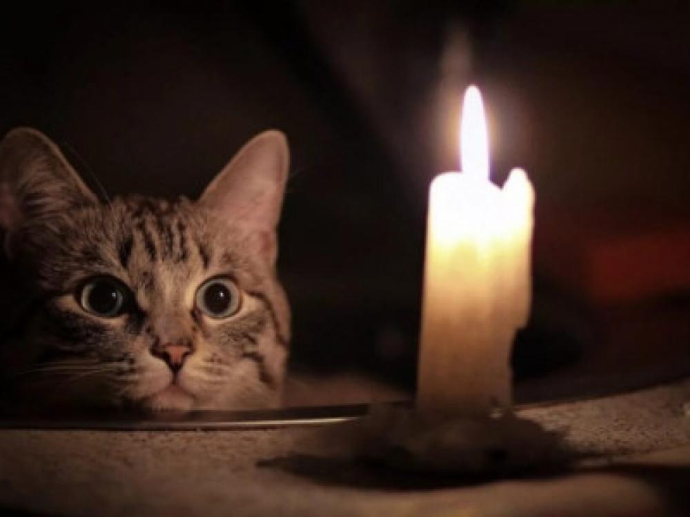 Ілюстративне зображення 