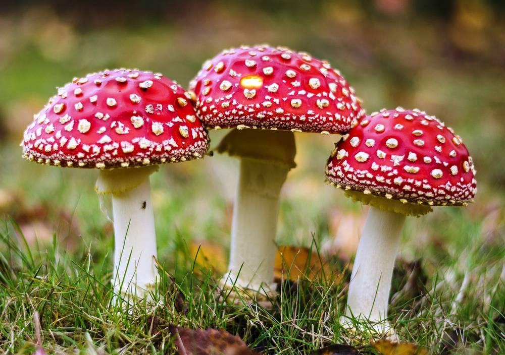 Фото ілюстративне