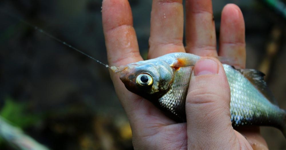 Фото ілюстративне