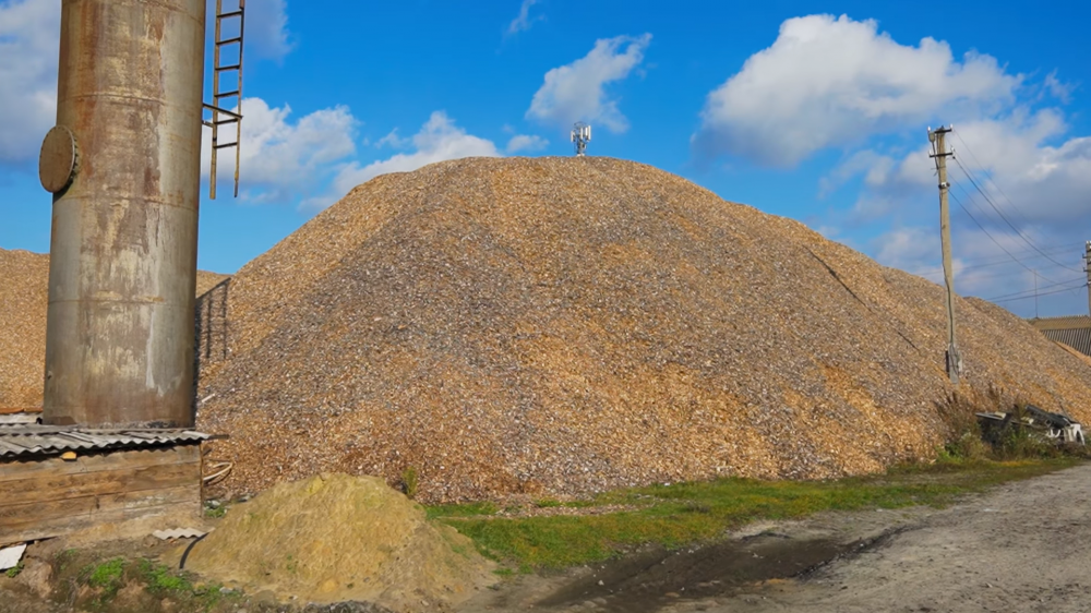 Скріншот із відео