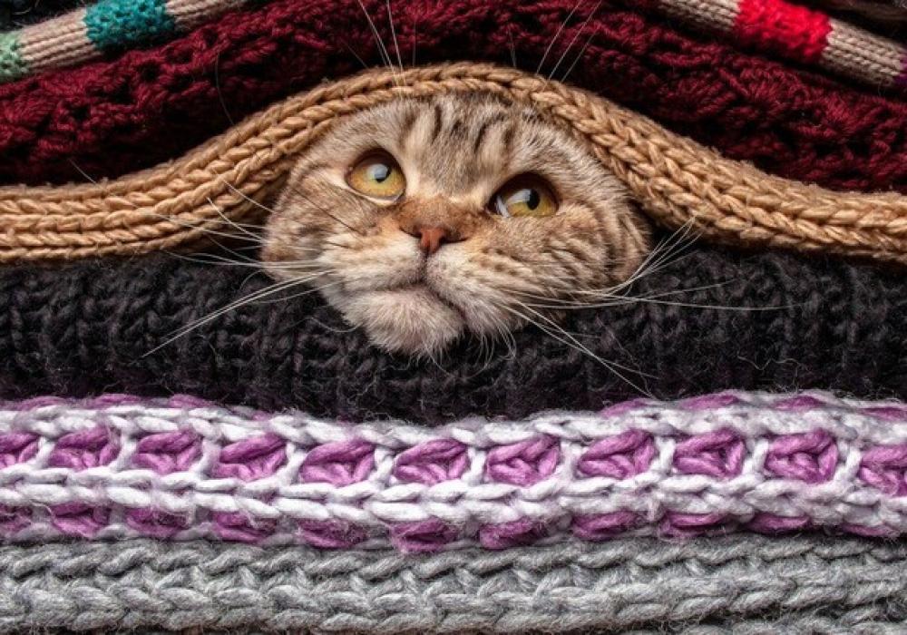 Ілюстративне зображення