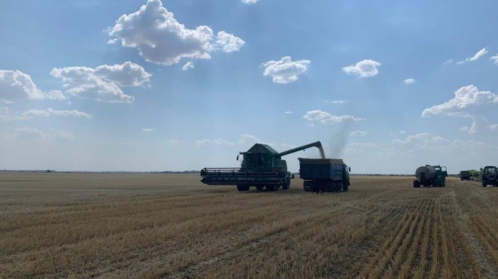 Ілюстративне зображення