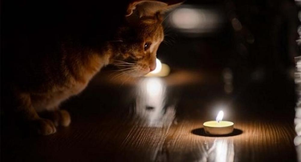 Ілюстративне зображення