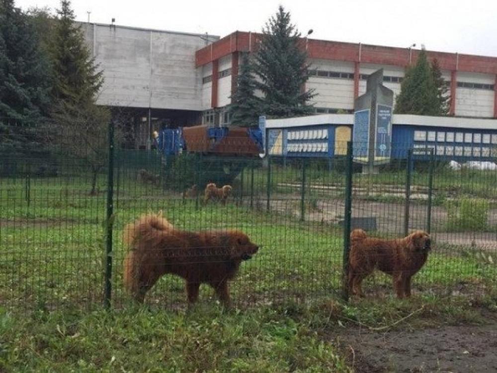 Фото ілюстративне