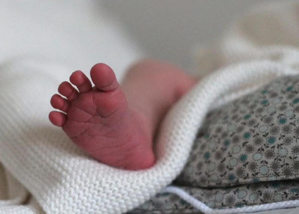 Фото ілюстративне