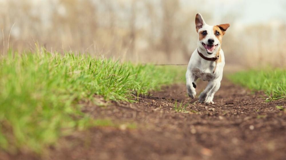 Ілюстративне зображення