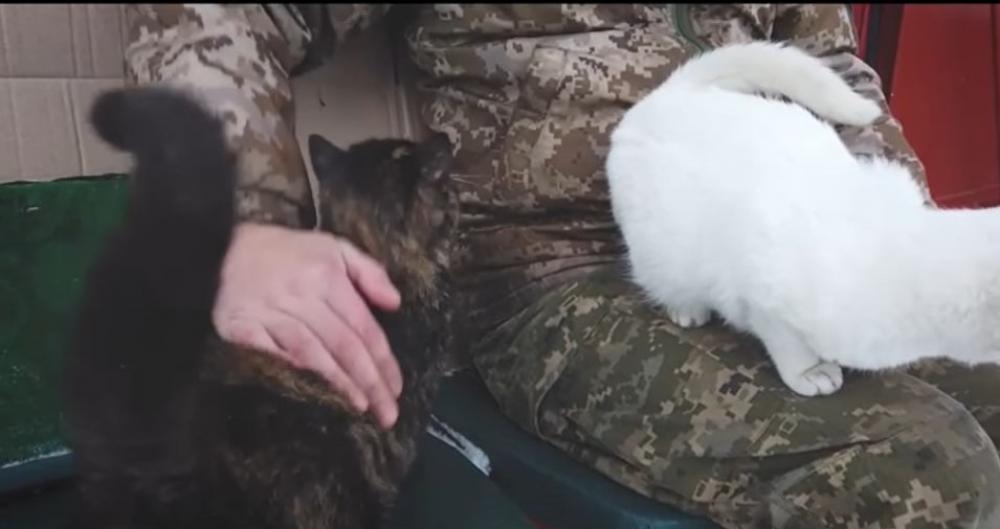 скріншот з відео