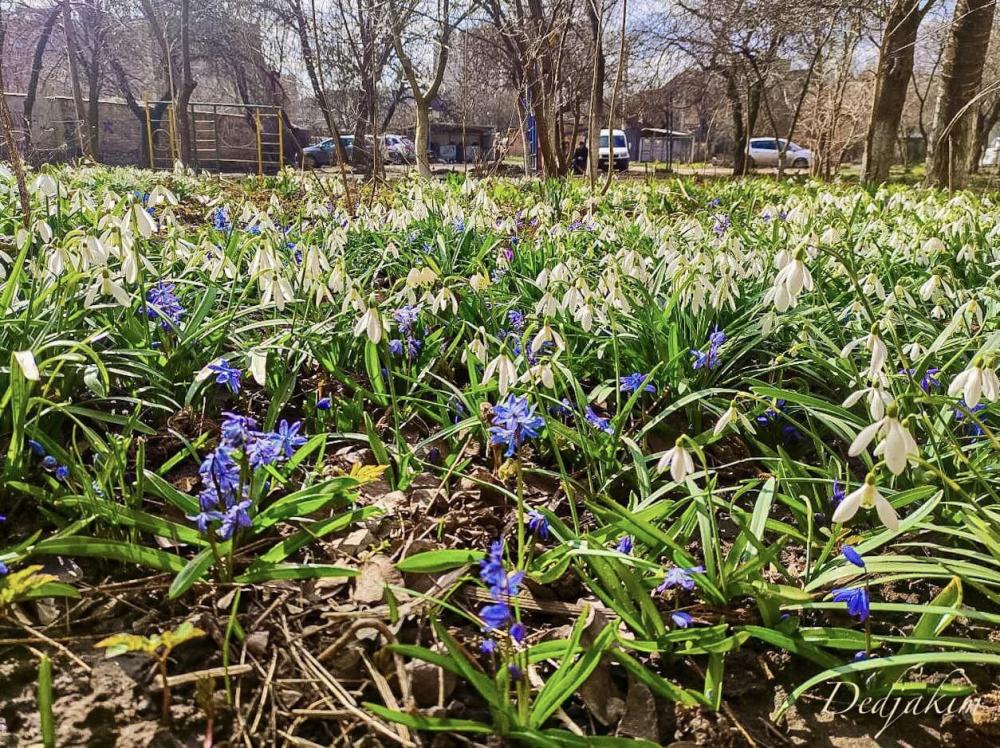 Фото Олега Якимчука