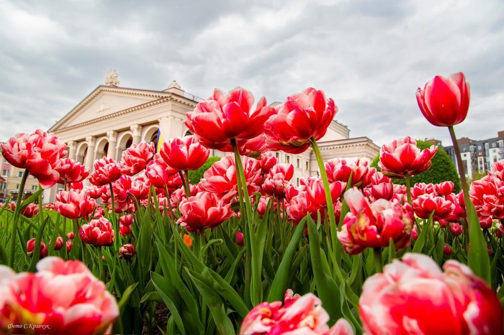Фото ілюстративне