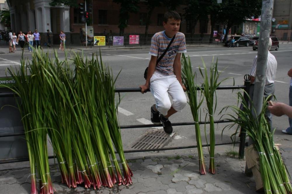 Фото ілюстративне