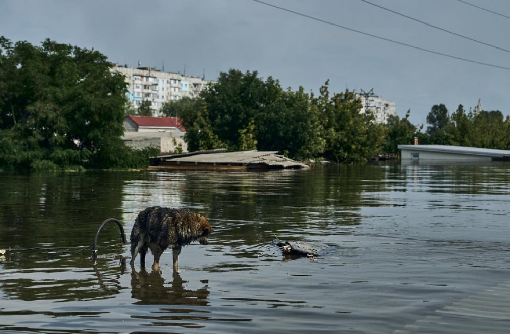 Фото ілюстративне
