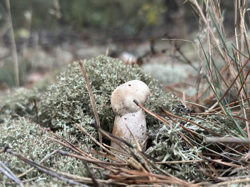 фото: Микола Потейчук