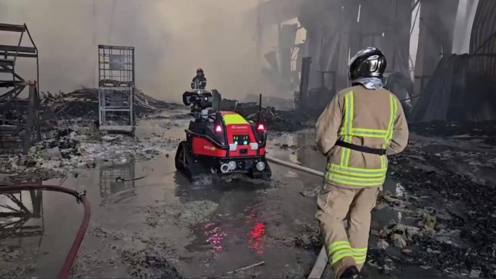 скріншот з відео