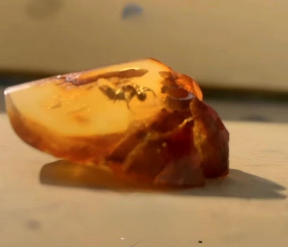 скріншот з відео