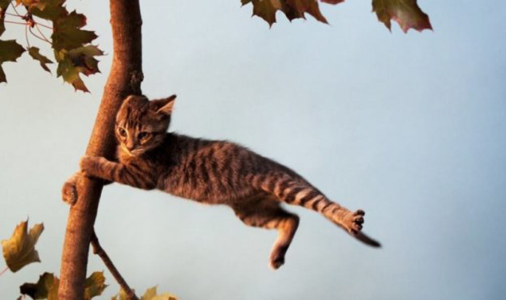 Фото ілюстративне