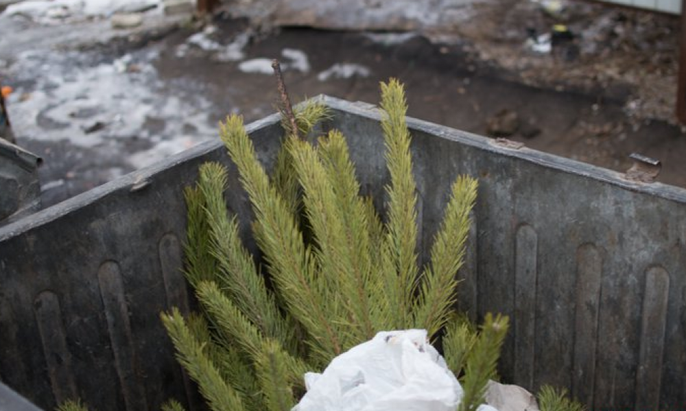 Фото ілюстративне