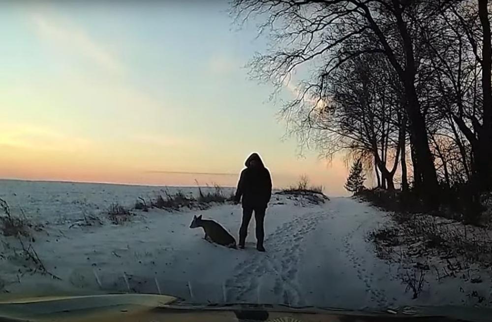 скріншот з відео