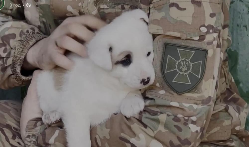 Скріншот із відео