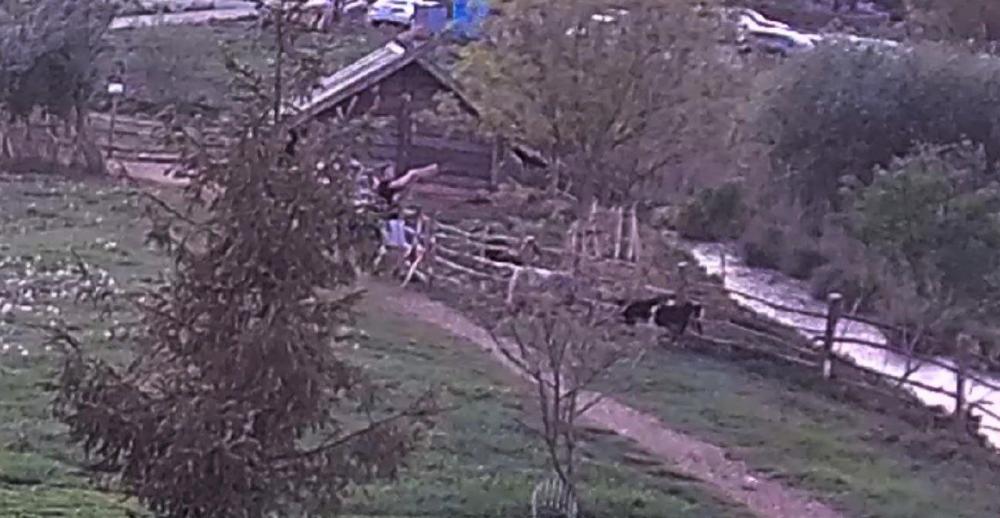 фото: «Оствиця»