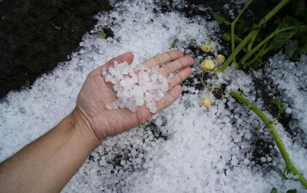 Фото ілюстративне