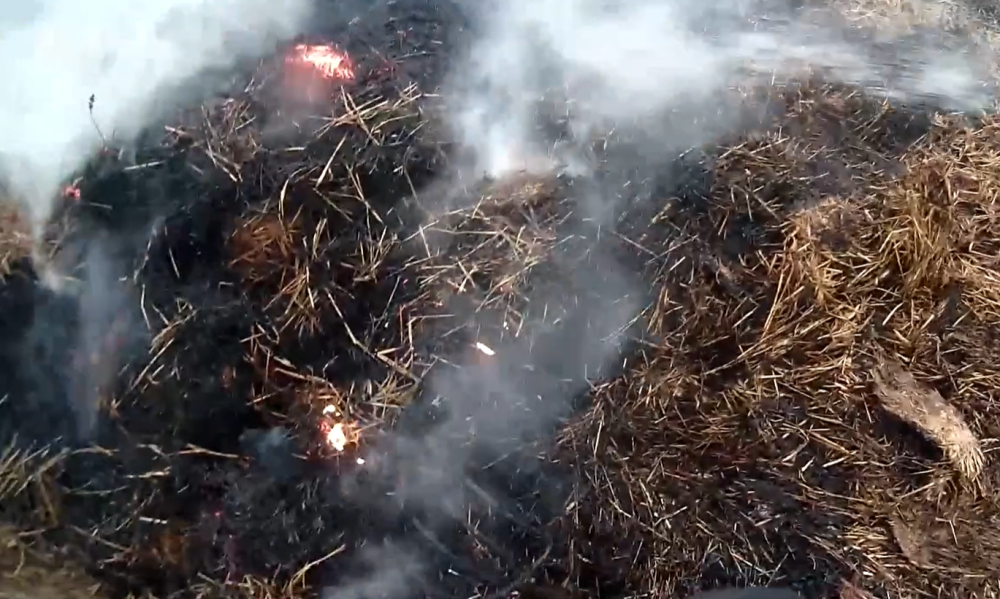 скріншот з відео