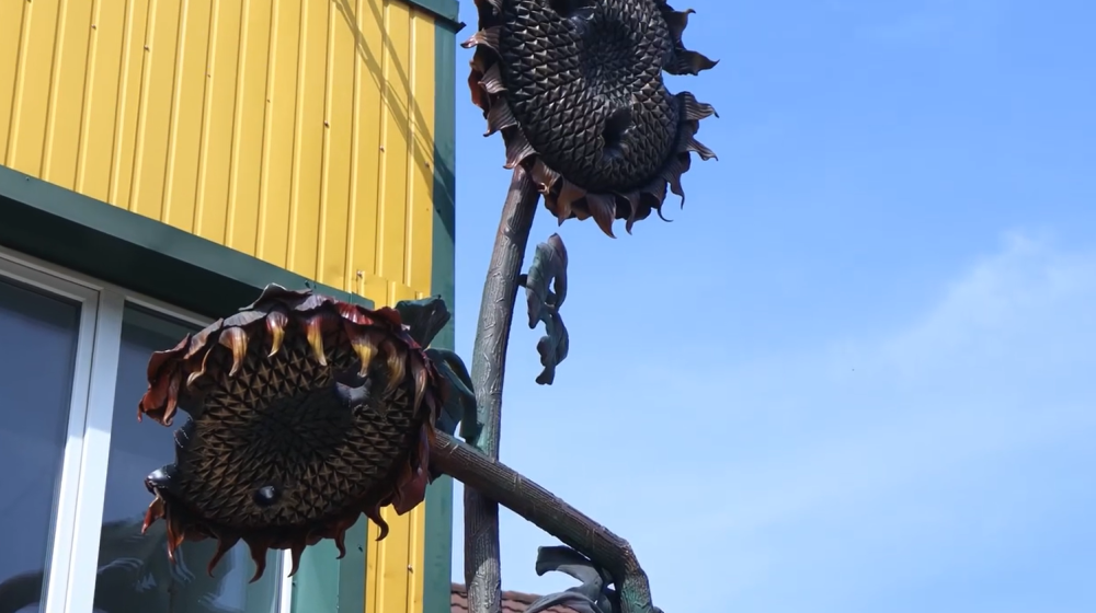 Скріншот із відео