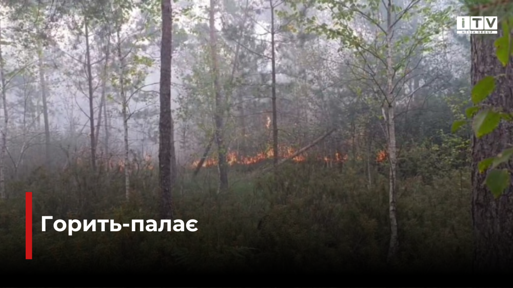 скріншот з відео