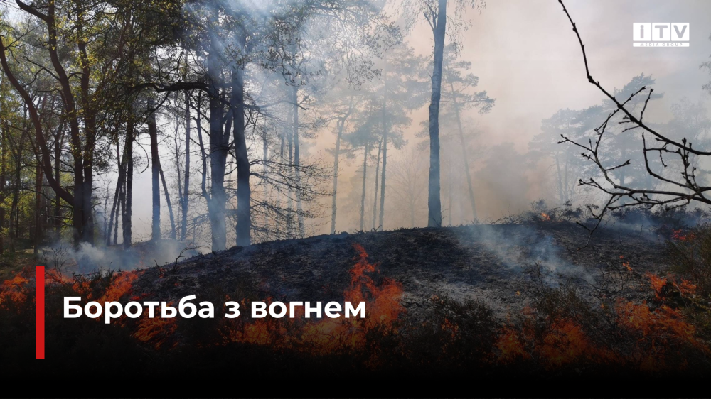 Фото ілюстративне 