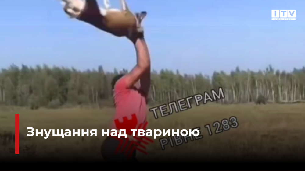 скріншот з відео