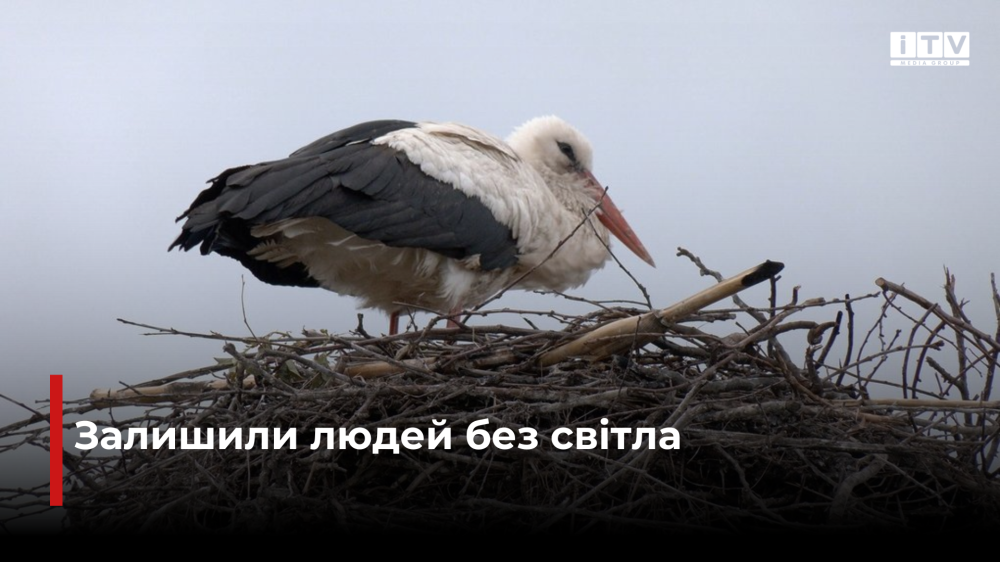 Фото ілюстративне