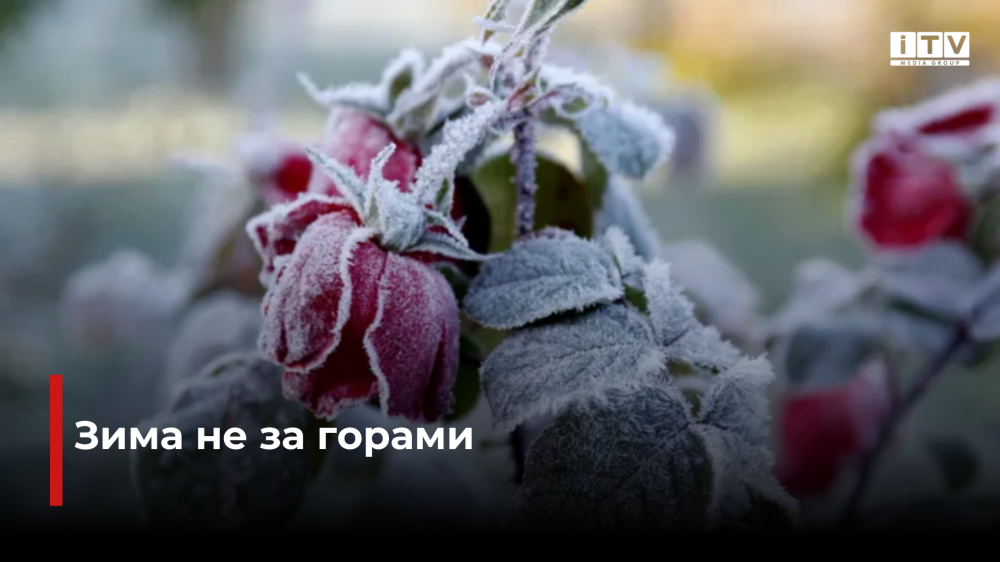 Фото ілюстративне