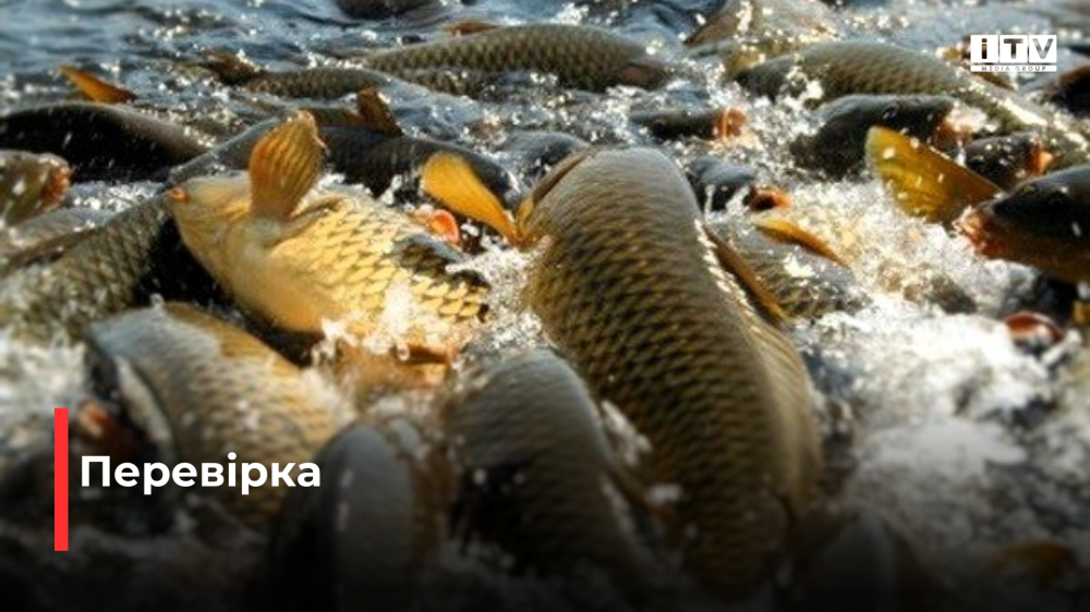 Фото ілюстративне