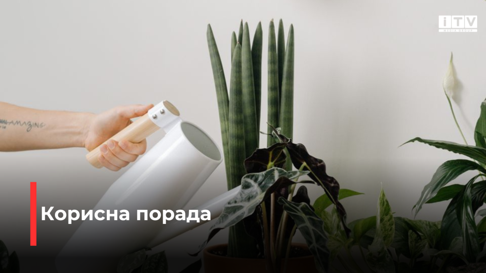 Фото ілюстративне