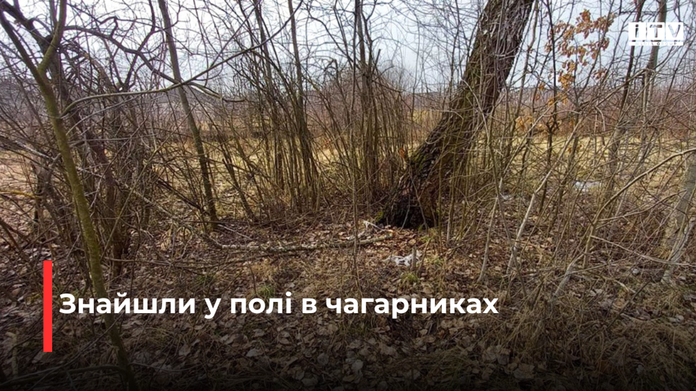 Фото ілюстративне