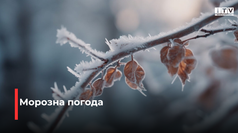 Фото ілюстративне