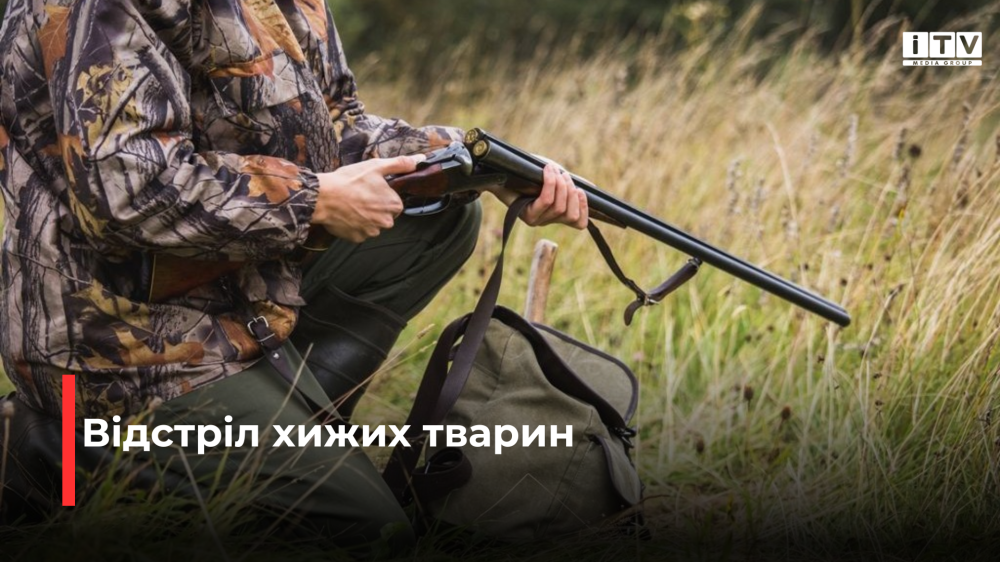 Фото ілюстративне