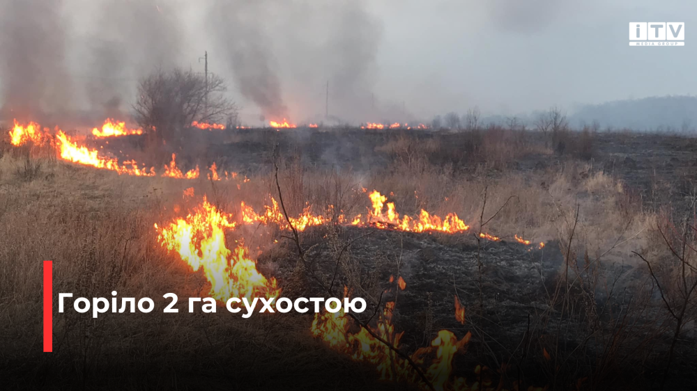 Фото ілюстративне