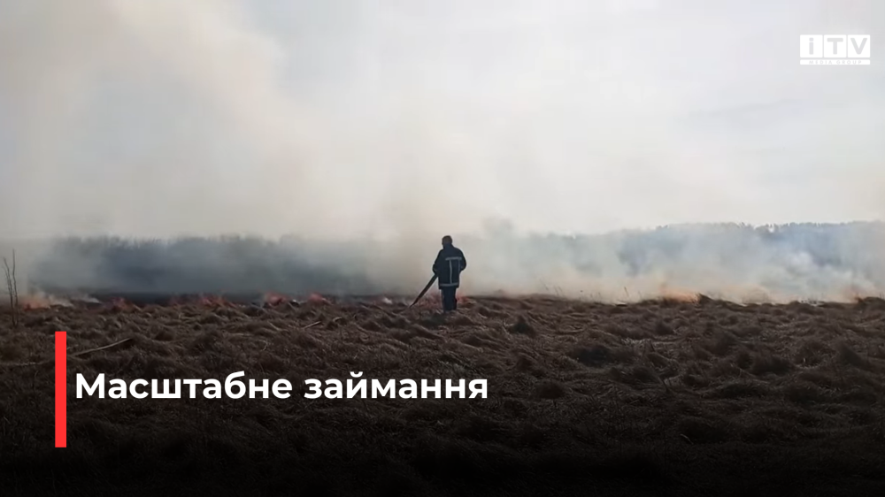 скріншот з відео