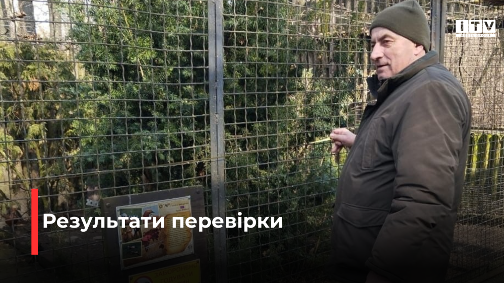 Фото ілюстративне