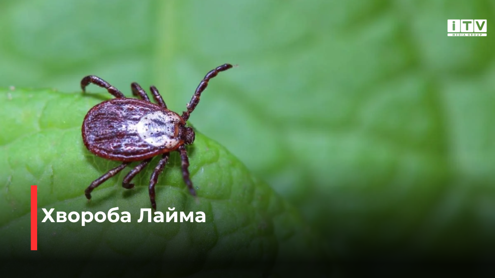 Фото ілюстративне