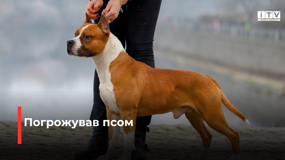 Фото ілюстративне